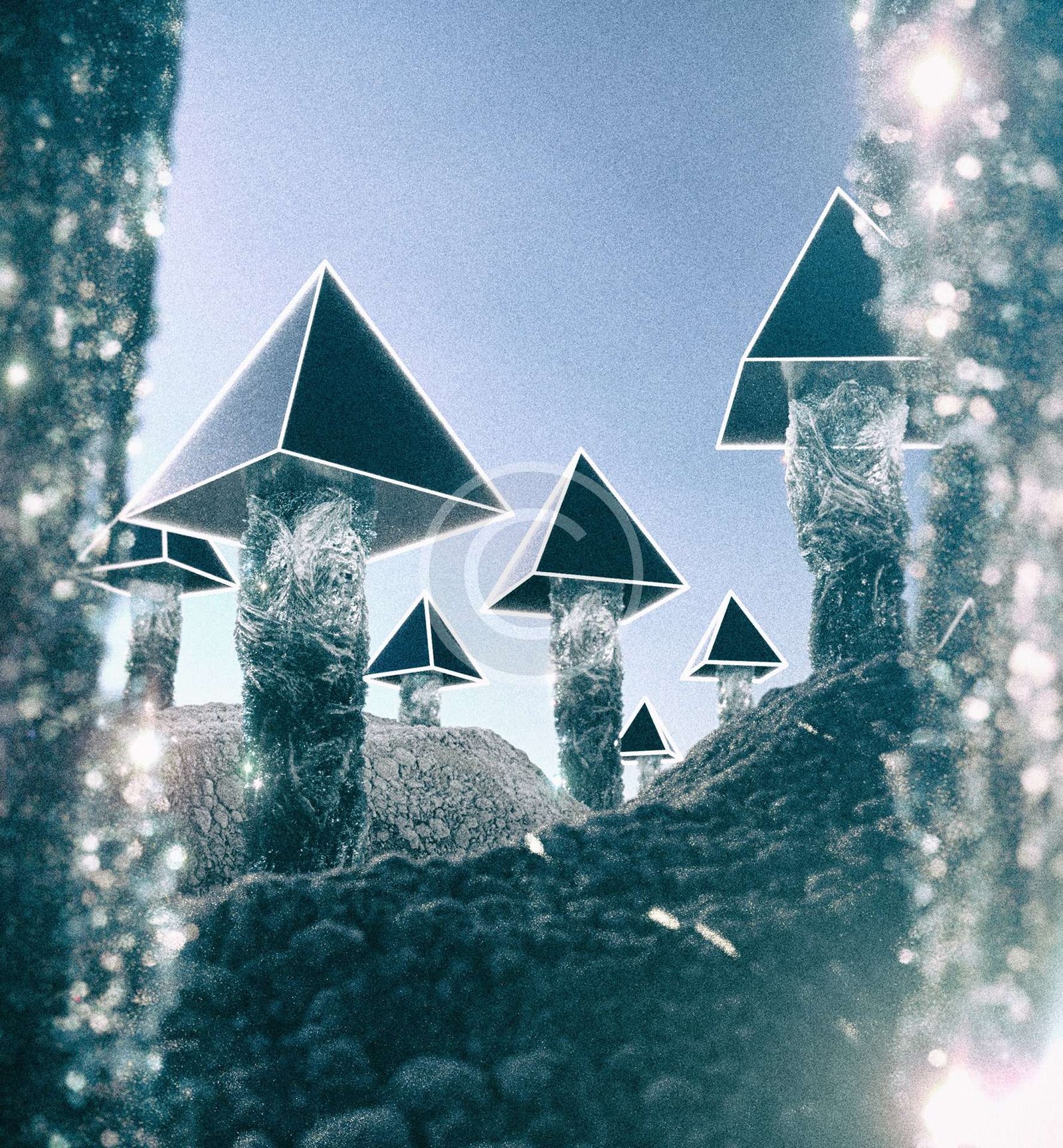 Casa de las Luciérnagas